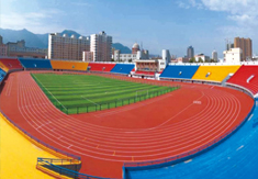 臨潼區人民體育場田徑

場改造提升項目